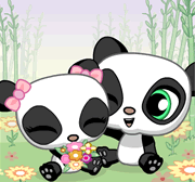 amor-dos-pandas.gif